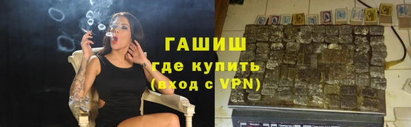 крисы Алзамай