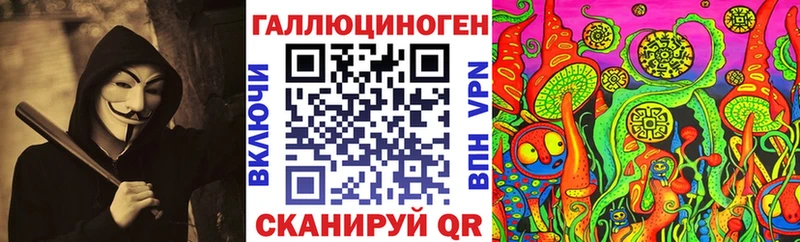 Галлюциногенные грибы Psilocybine cubensis  Алзамай 